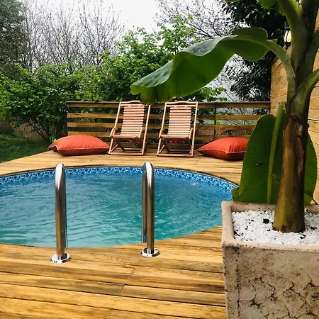 Safari Tas Ev Sapanca