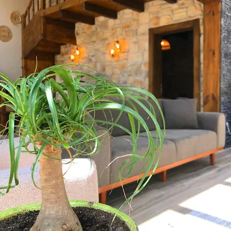 Safari Tas Ev Villa